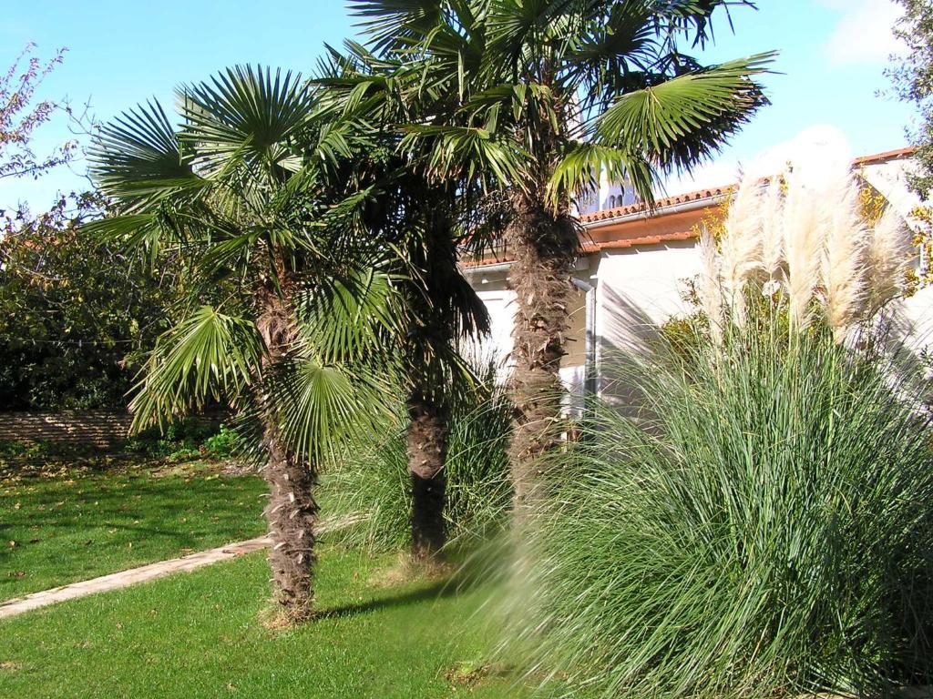 Apartments Oaza Regi Μεντουλίν Εξωτερικό φωτογραφία