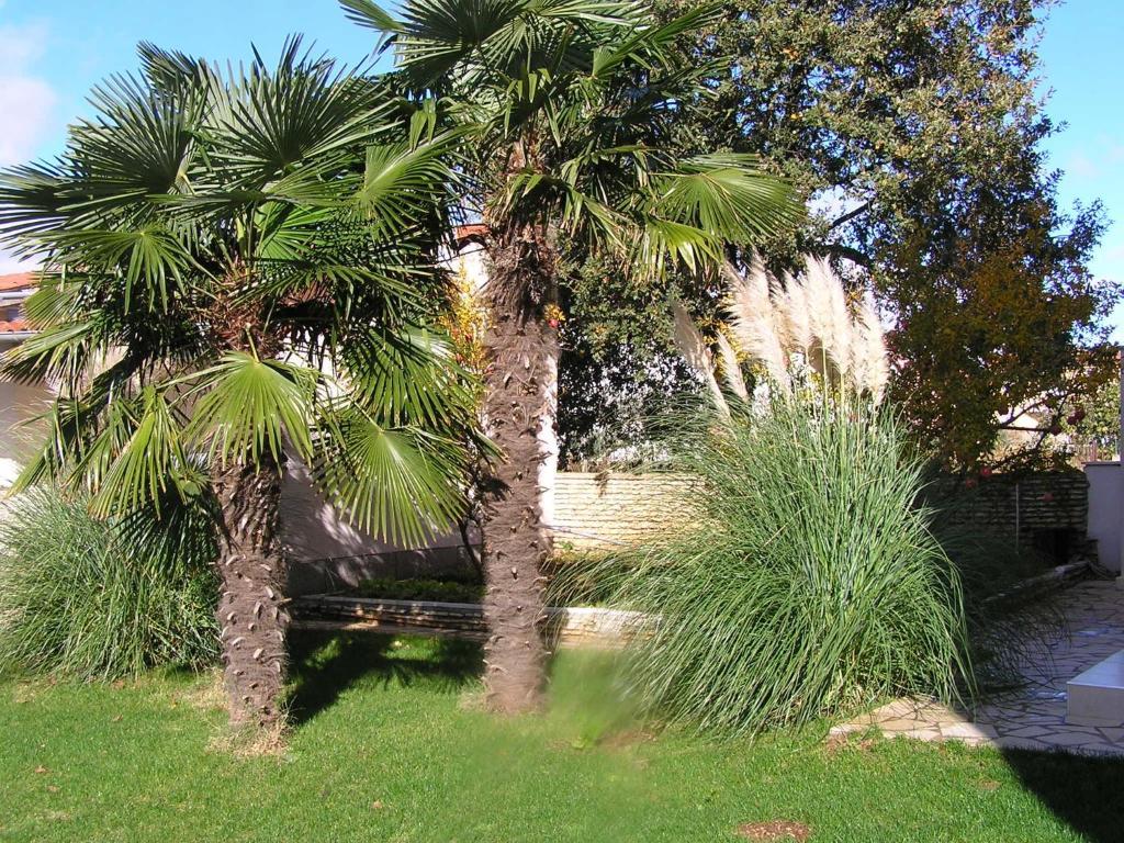 Apartments Oaza Regi Μεντουλίν Εξωτερικό φωτογραφία